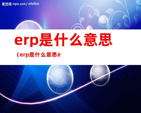 erp是什么意思(erp是什么意思角色扮演)