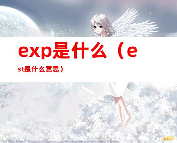 exp是什么(est是什么意思)