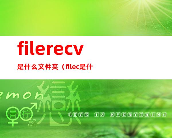 filerecv是什么文件夹(file.c是什么文件)