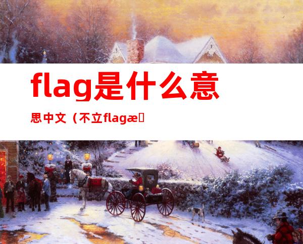 flag是什么意思中文（不立flag是什么意思中文）