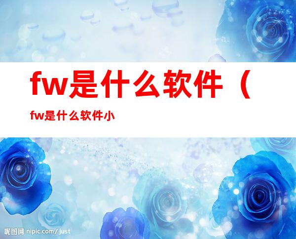 fw是什么软件(fw是什么软件小说)