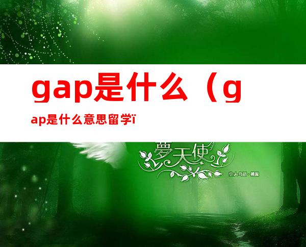 gap是什么(gap是什么意思留学)