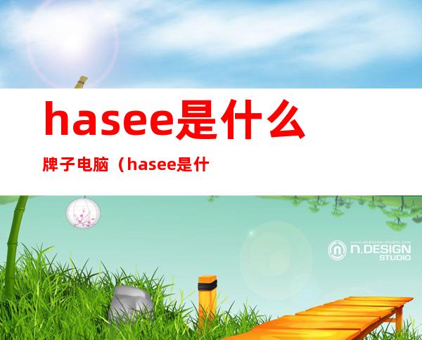 hasee是什么牌子电脑(hasee是什么牌子电脑高级吗)