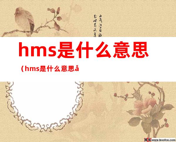 hms是什么意思(hms是什么意思可以关闭吗)