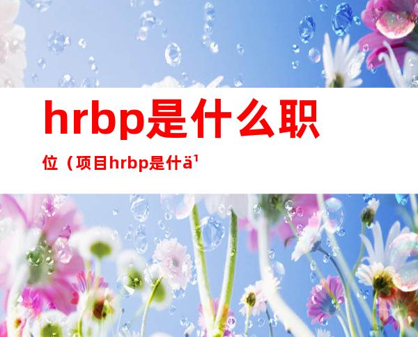 hrbp是什么职位(项目hrbp是什么职位)