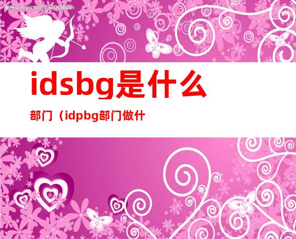 idsbg是什么部门（idpbg部门做什么的）