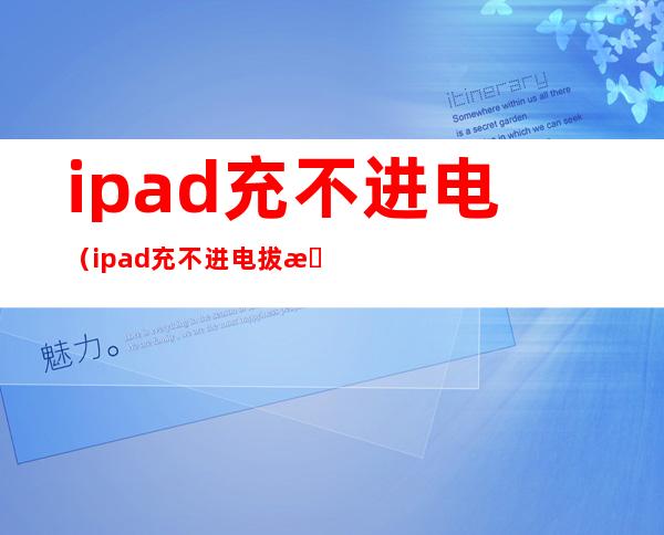 ipad充不进电(ipad充不进电 拔插头显示充电)