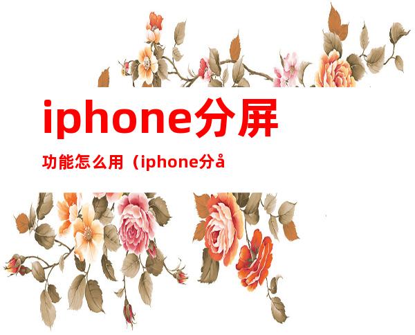 iphone分屏功能怎么用(iphone分屏功能怎么用xr)
