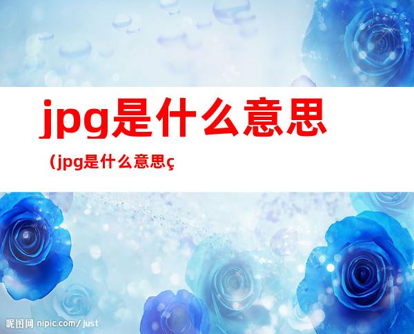 jpg是什么意思（jpg是什么意思的缩写）