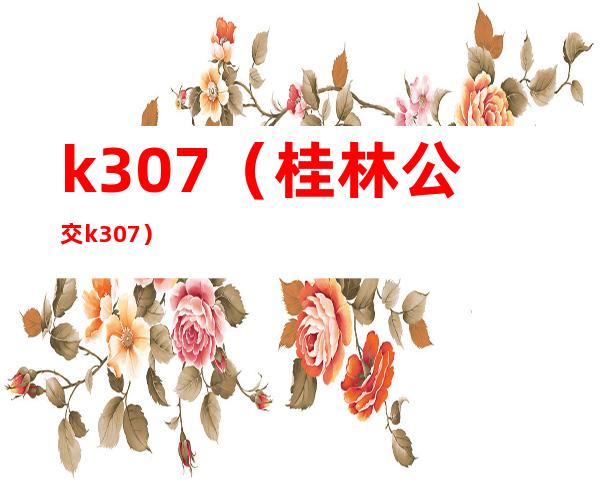 k307(桂林公交k307)