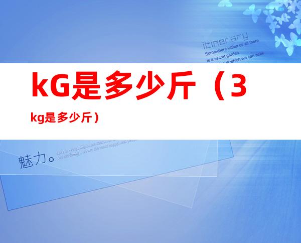 kG是多少斤(3kg是多少斤)