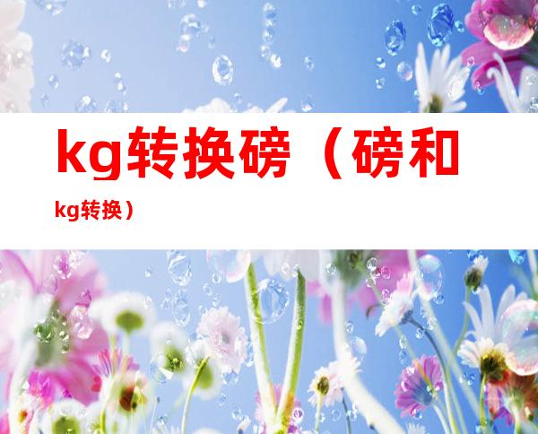 kg转换磅（磅和kg转换）
