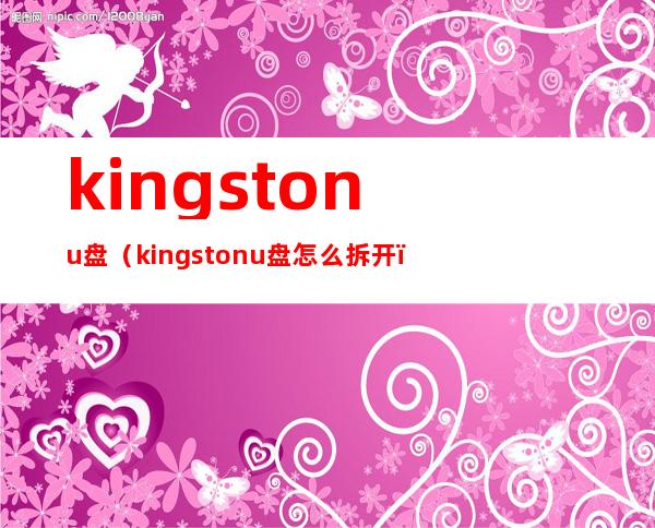kingstonu盘(kingstonu盘怎么拆开)