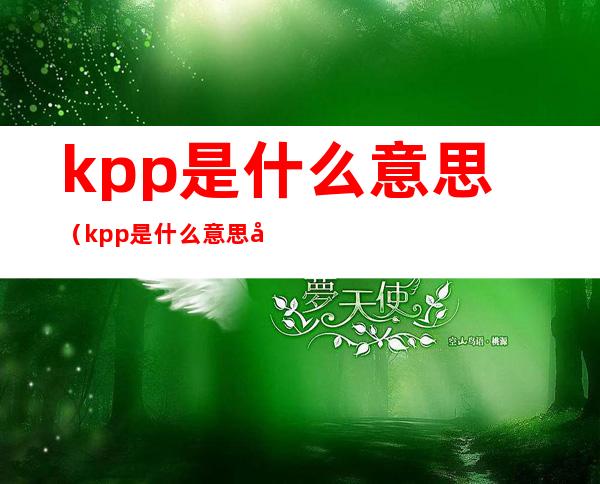 kpp是什么意思（kpp是什么意思啊）