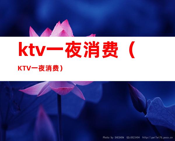 ktv一夜消费(KTV一夜消费)