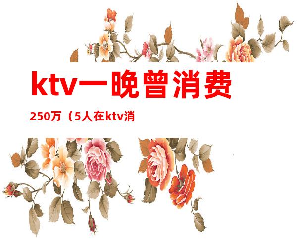 ktv一晚曾消费250万(5人在ktv消费7000元)
