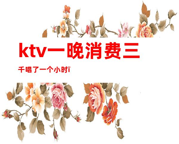 ktv一晚消费三千唱了一个小时()
