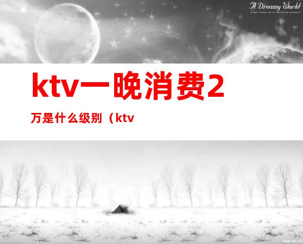 ktv一晚消费2万是什么级别（ktv消费两千多正常吗）