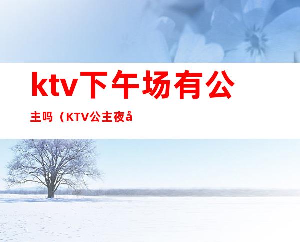 ktv下午场有公主吗(KTV公主夜场)