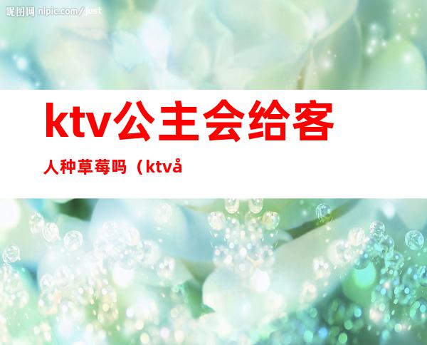 ktv公主会给客人种草莓吗(ktv公主可以给种草莓吗)