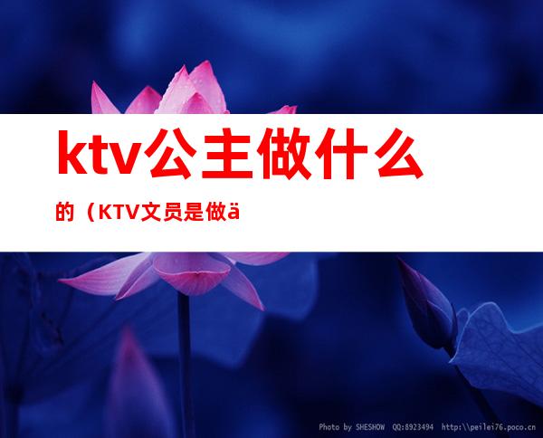 ktv公主做什么的(KTV文员是做什么的)