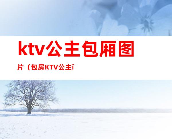 ktv公主包厢图片(包房KTV公主)