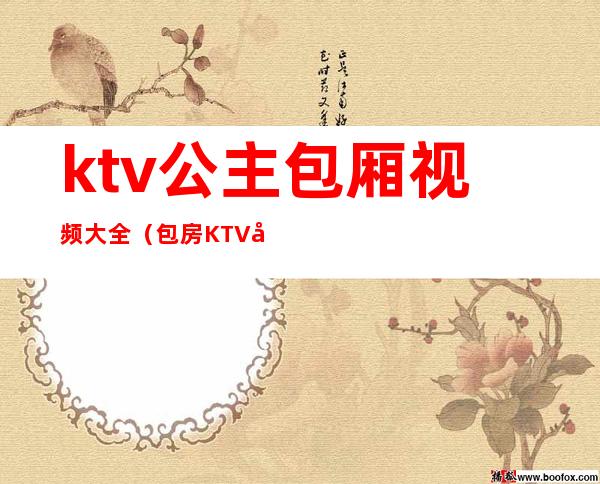 ktv公主包厢视频大全（包房KTV公主）