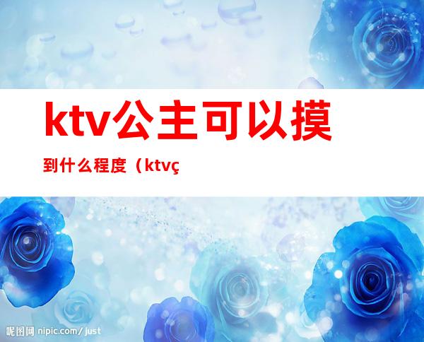 ktv公主可以摸到什么程度(ktv的公主能摸么)