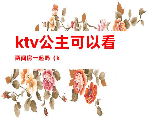 ktv公主可以看两间房一起吗(ktv里面有公主吗)