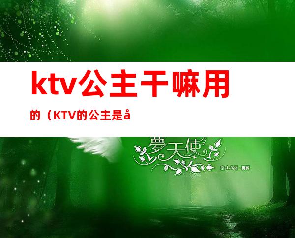 ktv公主干嘛用的(KTV的公主是干嘛的)