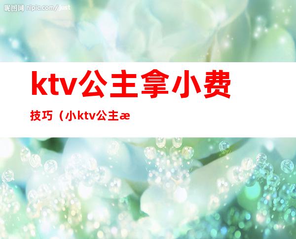ktv公主拿小费技巧(小ktv公主怎么收费)