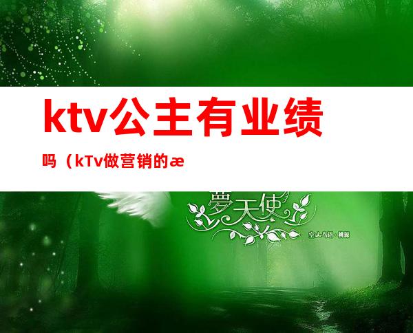 ktv公主有业绩吗(kTv做营销的是公主吗)