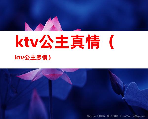 ktv公主真情(ktv公主感情)