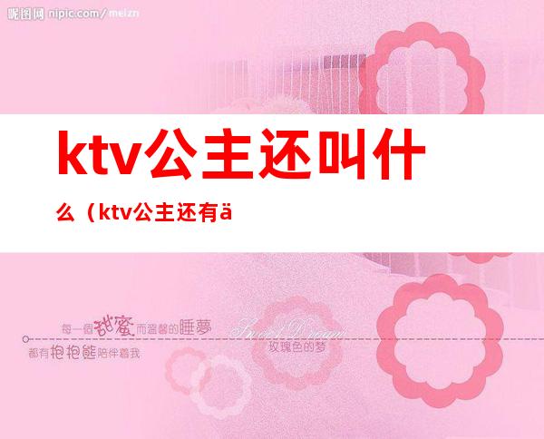 ktv公主还叫什么(ktv公主还有什么)