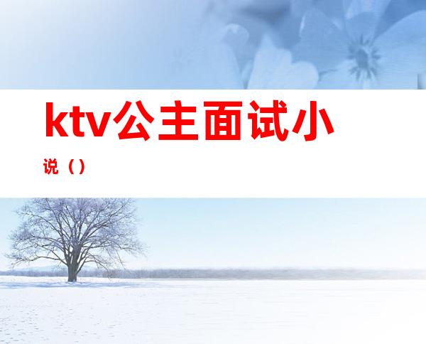 ktv公主面试小说()