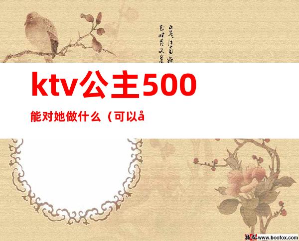 ktv公主500能对她做什么(可以对ktv公主做什么)