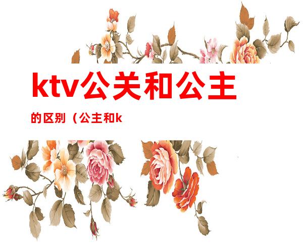 ktv公关和公主的区别(公主和ktv有什么关系)