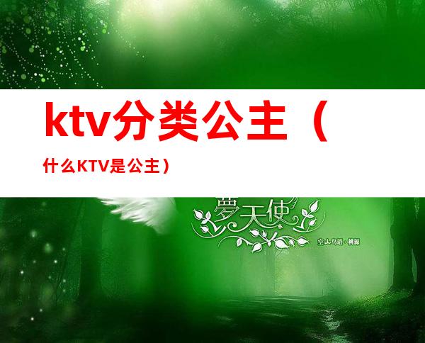 ktv分类公主(什么KTV是公主)