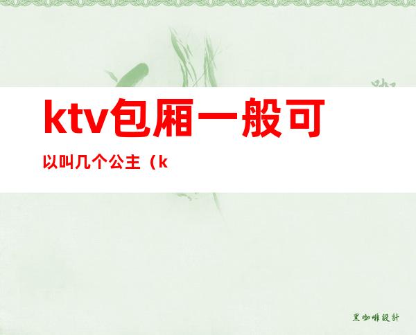ktv包厢一般可以叫几个公主(ktv包厢服务员是公主吗)