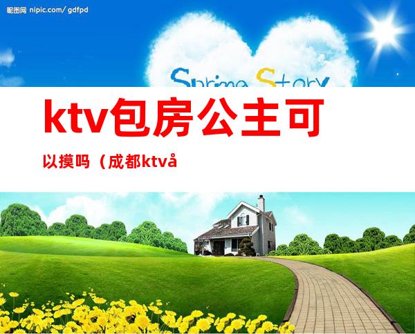 ktv包房公主可以摸吗(成都ktv包房公主一个月收入)