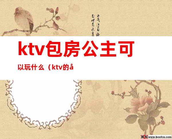 ktv包房公主可以玩什么(ktv的公主可以怎么玩?)