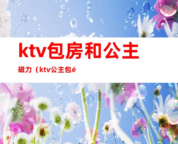 ktv包房和公主磁力(ktv公主包里面有什么)