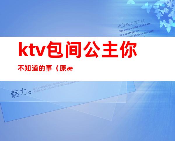 ktv包间公主你不知道的事(原来公主在ktv)