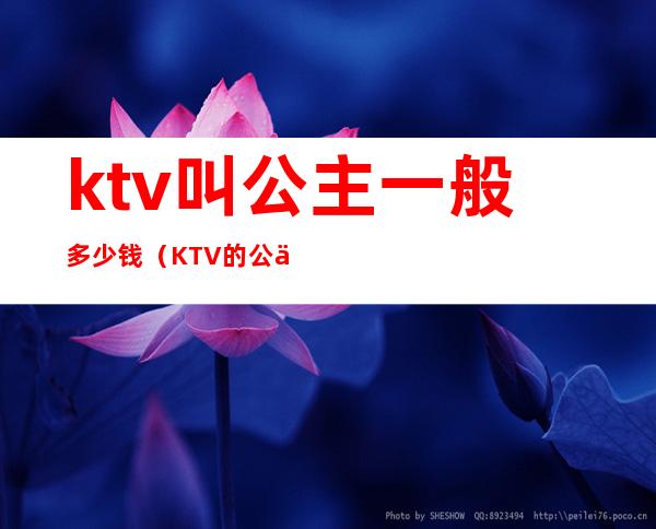 ktv叫公主一般多少钱(KTV的公主多少钱)