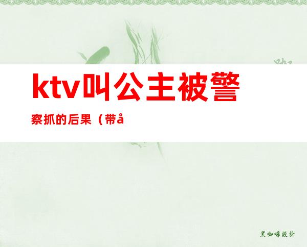 ktv叫公主被警察抓的后果(带公主的ktv警察会抓吗)