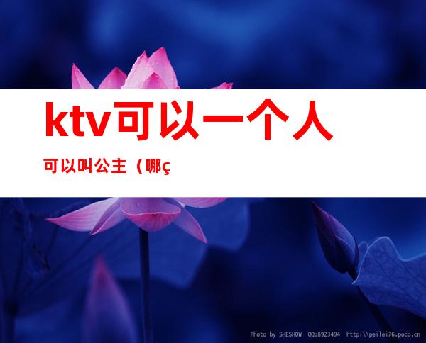 ktv可以一个人可以叫公主(哪种ktv可以叫公主)