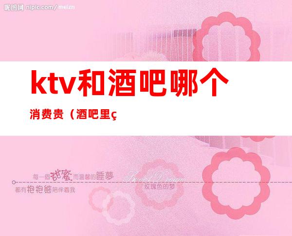 ktv和酒吧哪个消费贵(酒吧里的ktv贵吗)