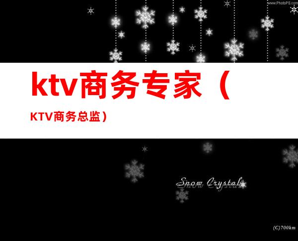 ktv商务专家(KTV商务总监)