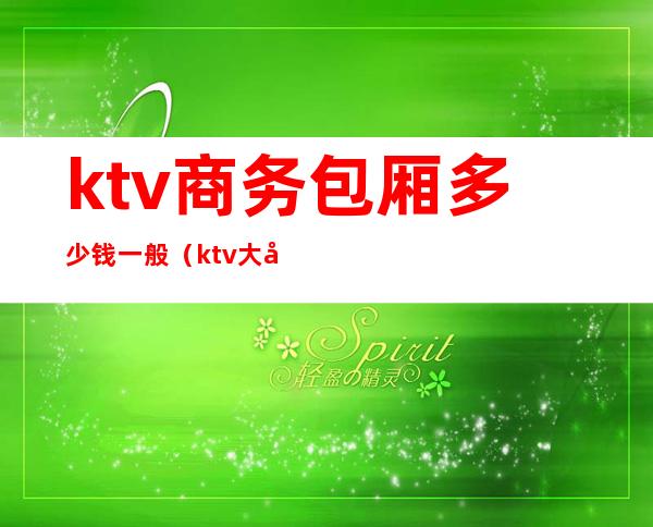 ktv商务包厢多少钱一般(ktv大包厢多少钱)