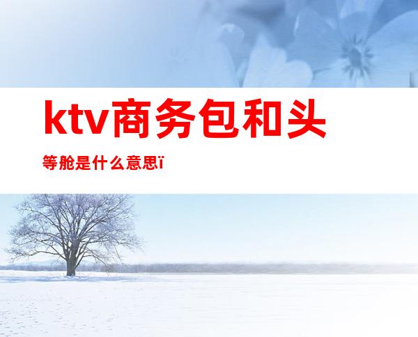 ktv商务包和头等舱是什么意思()